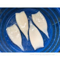 Best Quality Frozen Squid Tube Price For Export